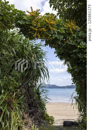 奄美大島の美しい海岸 奄美大島の美しい海岸 120861173