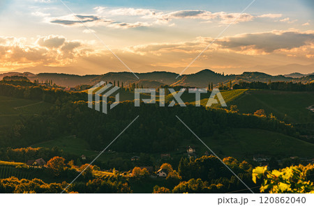 Vineyards panorama along Styrian wine road, Austria Europe Vineyards panorama along Styrian wine road, Austria Europe 120862040