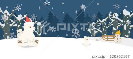 夜の冬の森の風景　可愛いシロクマの親子 120862197