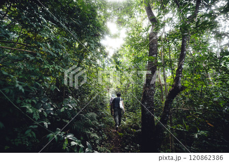 A man walks into a green forest. 120862386