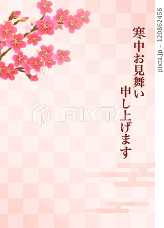 寒中見舞い 梅の花 市松模様 はがきテンプレート 縦長 寒中見舞い 梅の花 市松模様 はがきテンプレート 縦長 120862456