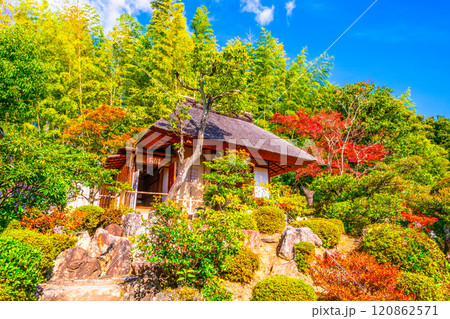京都の秋 等持院の庭園と茶室 120862571