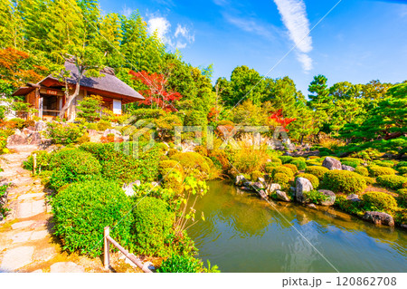 京都の秋 等持院の庭園 京都の秋 等持院の庭園 120862708