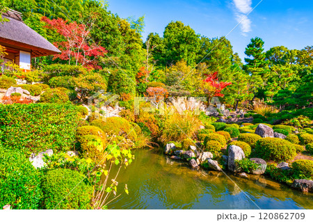 京都の秋 等持院の庭園 120862709