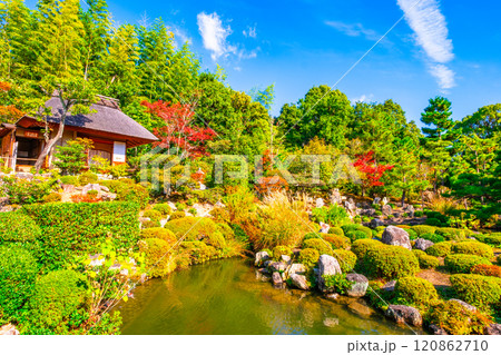 京都の秋 等持院の庭園 120862710