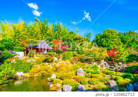 京都の秋 等持院の庭園 120862713