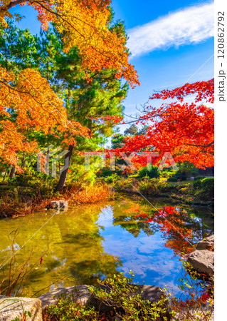 錦秋の京都 等持院の鮮やかな紅葉 120862792