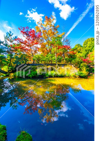 錦秋の京都 等持院の鮮やかな紅葉 120862895