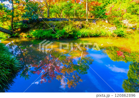 錦秋の京都 等持院の鮮やかな紅葉 120862896