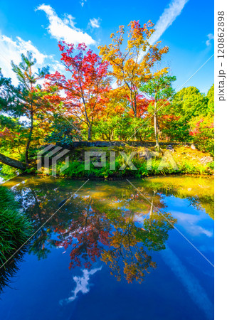 錦秋の京都 等持院の鮮やかな紅葉 120862898