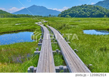 夏の群馬県の尾瀬 上田代から池塘(ちとう)、燧ヶ岳、牛首方面の眺望 120862914