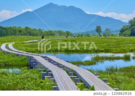 夏の群馬県の尾瀬 上田代から池塘(ちとう)、燧ヶ岳方面の眺望 120862916