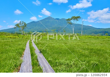 夏の福島県の尾瀬 下田代(沼尻川)付近から燧ヶ岳方面方面の眺望 夏の福島県の尾瀬 下田代(沼尻川)付近から燧ヶ岳方面方面の眺望 120862934