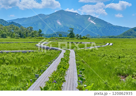 夏の群馬県の尾瀬 中田代(県境)の竜宮の出入り口付近から至仏山方面の眺望 120862935