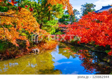錦秋の京都 等持院の鮮やかな紅葉 120862944
