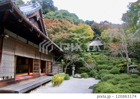 金福寺・日本庭園（京都・左京区） 120863174