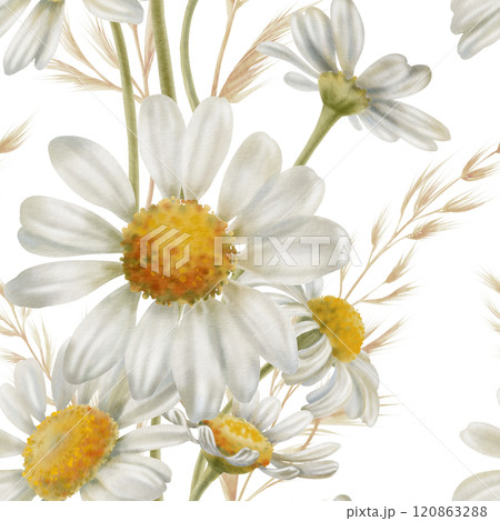 Seamless floral pattern of chamomiles,buds,stems,daisy petals,dried flowers,on white background in vertical line direction in soft warm colors for textile, stationery,fashion industry 120863288