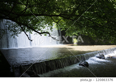 マイナスイオンを感じる日本の滝の写真 120863376