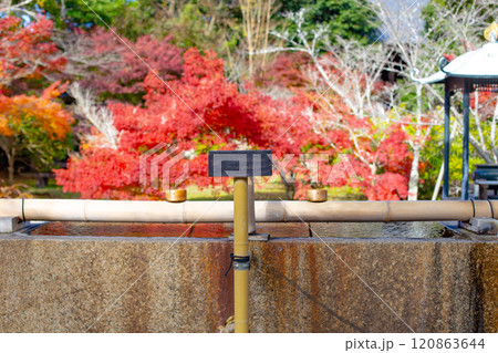 秋の神戸・太山寺・手水舎と紅葉 120863644