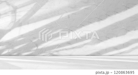 Background Floor Shadow Wall Kitchen Concrete White Texture Light Texture Abstract Mockup Product Marble Room Studio Display Plant Cement 3d Bg Minimal Shelft Bar Silhouette Leaves Backdrop Vintage. 120863695