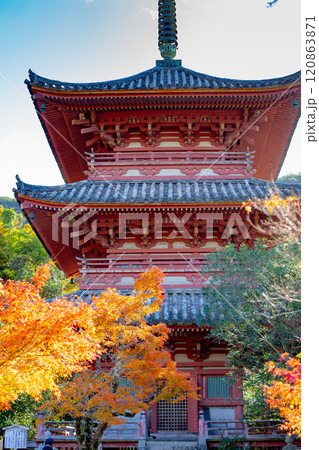 秋の神戸・太山寺・三重塔と紅葉 秋の神戸・太山寺・三重塔と紅葉 120863871