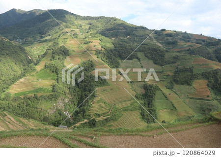 ベトナム北部ムーカンチャイの絶景棚田 ベトナム北部ムーカンチャイの絶景棚田 120864029