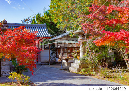 神戸・太山寺・中門 神戸・太山寺・中門 120864649