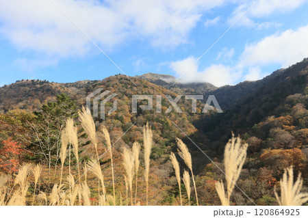 晩秋の四国、紅葉の剣山 晩秋の四国、紅葉の剣山 120864925