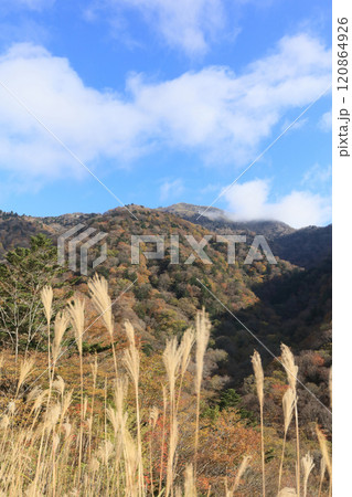 晩秋の四国、紅葉の剣山(国道439号線から見る) 晩秋の四国、紅葉の剣山(国道439号線から見る) 120864926