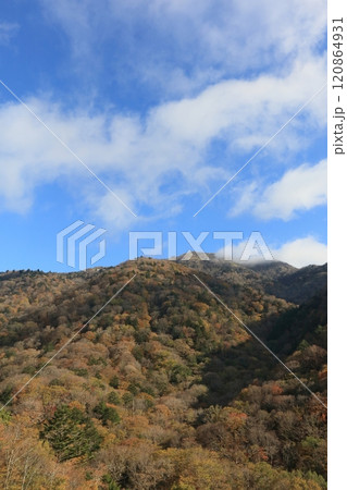 晩秋の四国、紅葉の剣山(国道439号線から見る) 晩秋の四国、紅葉の剣山(国道439号線から見る) 120864931