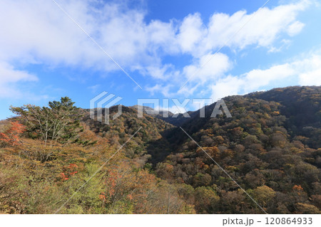 晩秋の四国、紅葉の剣山（国道439号線から見る） 120864933