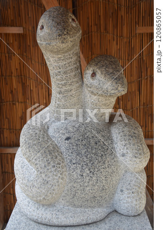 蛇窪神社 120865057