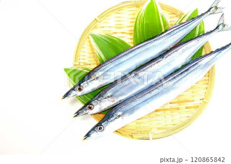 サンマ 秋刀魚 さんま サンマ 秋刀魚 さんま 120865842