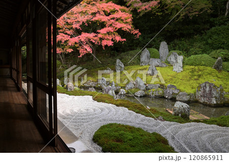 漢陽寺の庭園(山口県周南市鹿野) 120865911