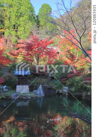秋の善水寺(百伝池・湖南市・縦構図) 秋の善水寺(百伝池・湖南市・縦構図) 120865935