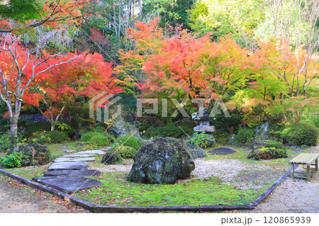 秋の善水寺(日本庭園・湖南市) 秋の善水寺(日本庭園・湖南市) 120865939