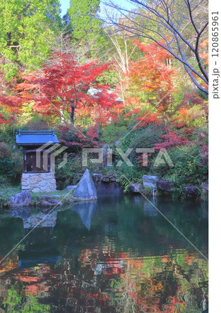 秋の善水寺（百伝池・湖南市・縦構図） 120865961