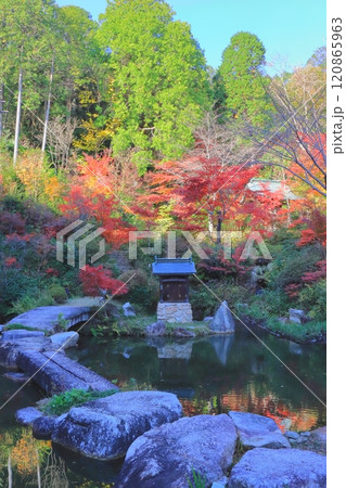 秋の善水寺(百伝池・湖南市・縦構図) 秋の善水寺(百伝池・湖南市・縦構図) 120865963