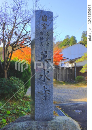 秋の善水寺（湖南市・縦構図） 120865968