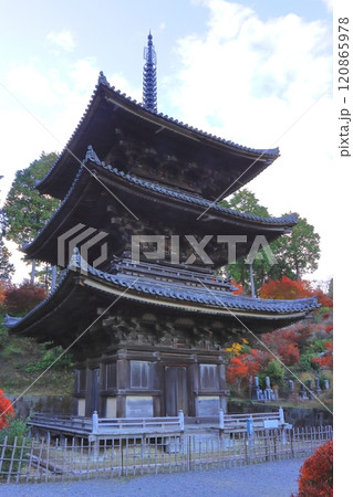 秋の常楽寺（国宝三重塔・湖南市） 120865978