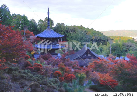 秋の常楽寺（国宝本堂と国宝三重塔・湖南市） 120865982