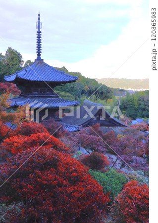 秋の常楽寺(国宝本堂と国宝三重塔・湖南市・縦構図) 秋の常楽寺(国宝本堂と国宝三重塔・湖南市・縦構図) 120865983