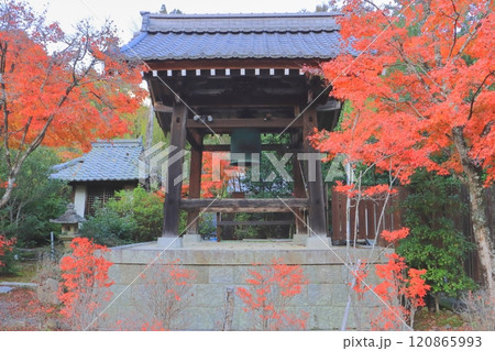 秋の常楽寺(鐘楼・湖南市) 秋の常楽寺(鐘楼・湖南市) 120865993