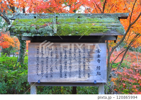 秋の常楽寺（湖南市） 120865994
