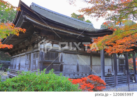 秋の常楽寺（国宝本堂・湖南市） 120865997