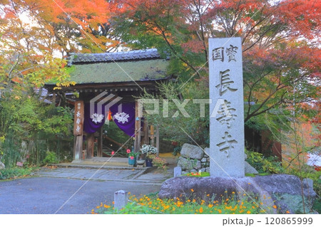 秋の長寿寺(山門・湖南市) 秋の長寿寺(山門・湖南市) 120865999