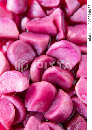 温海かぶ漬け 温海かぶ漬け 120866078