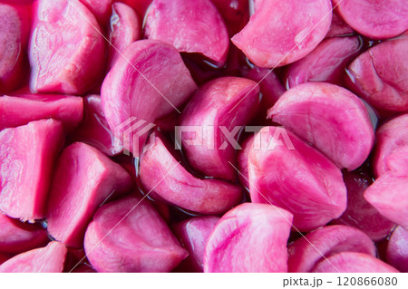 温海かぶ漬け 120866080