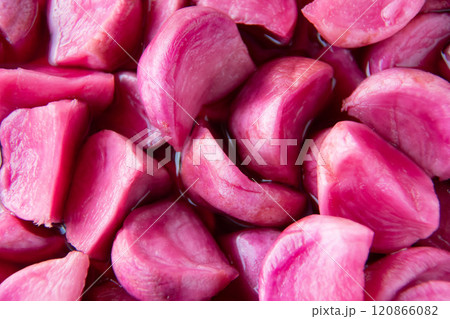 温海かぶ漬け 120866082