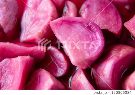 温海かぶ漬け 温海かぶ漬け 120866084